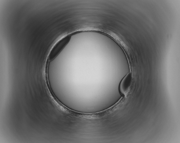 X0000116891189200912220958