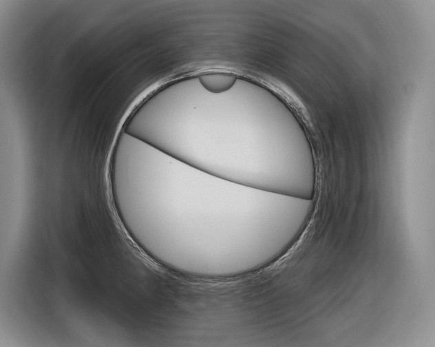 X0000116891190200912220958