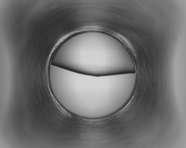 X0000116891192200912220958