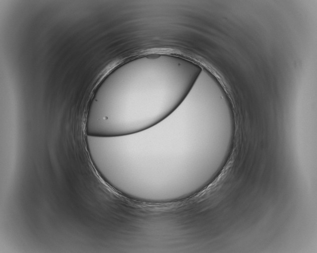 X0000116891193200912220958