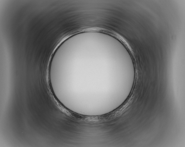 X0000116891194200912220958