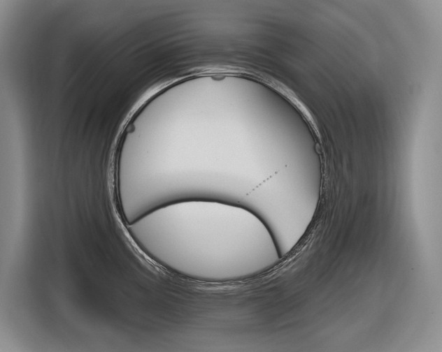 X0000116891195200912220958
