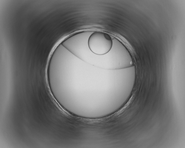 X0000116891196200912220958