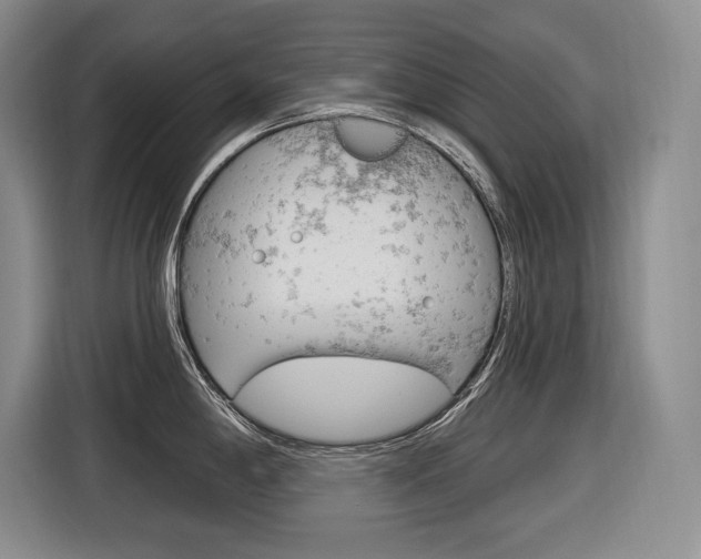 X0000116891198200912220958