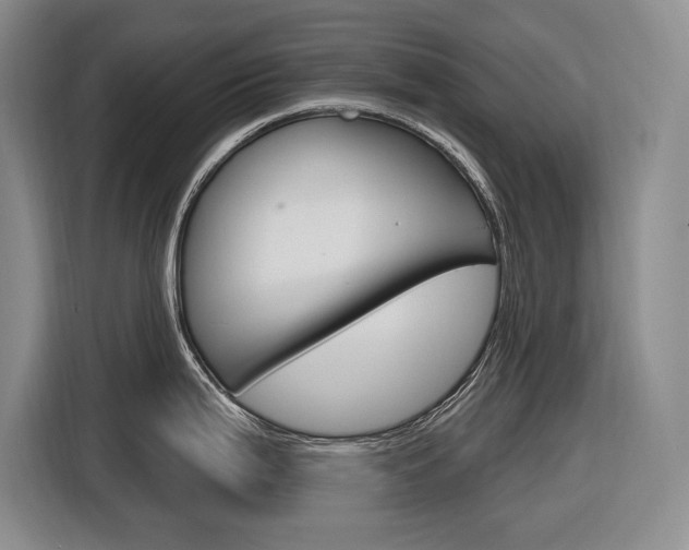 X0000116891199200912220958