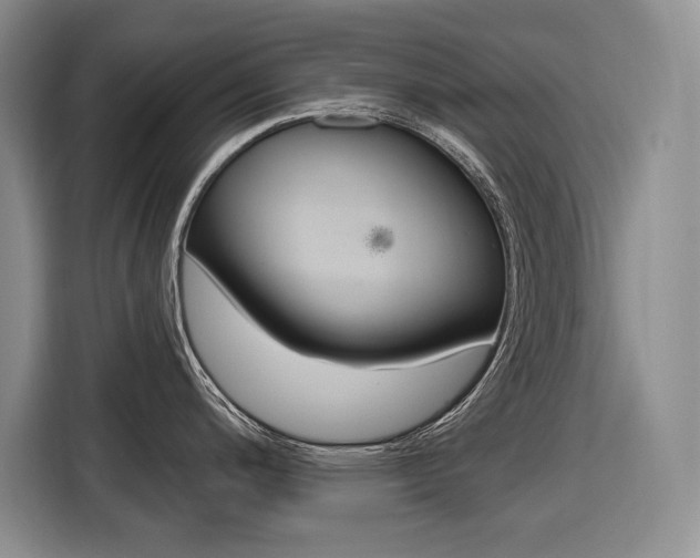 X0000116891200200912220958