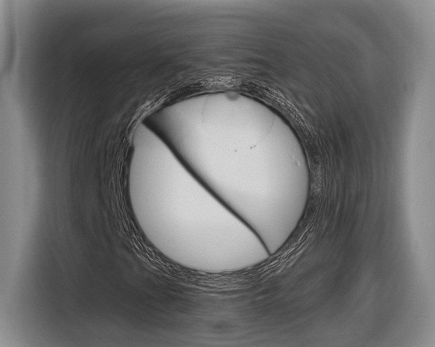 X0000116891201200912220957