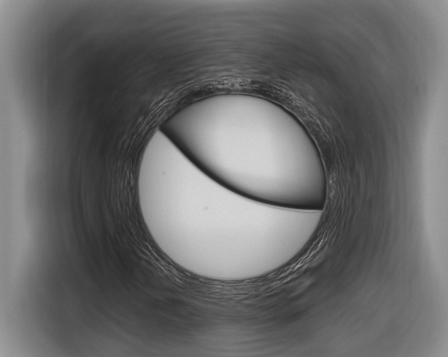 X0000116891202200912220957