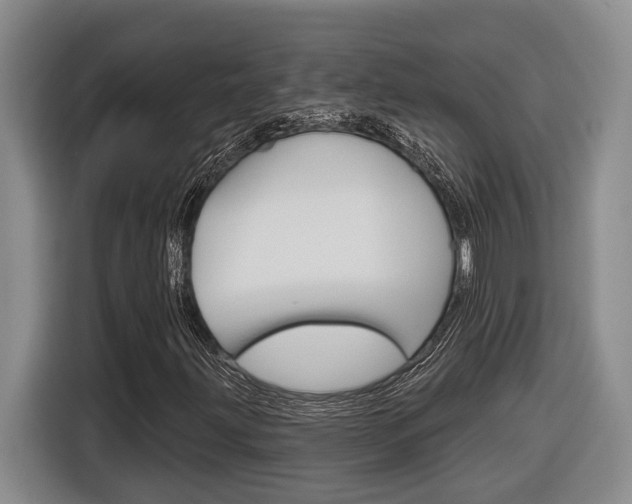 X0000116891203200912220957