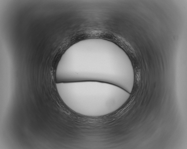 X0000116891204200912220957