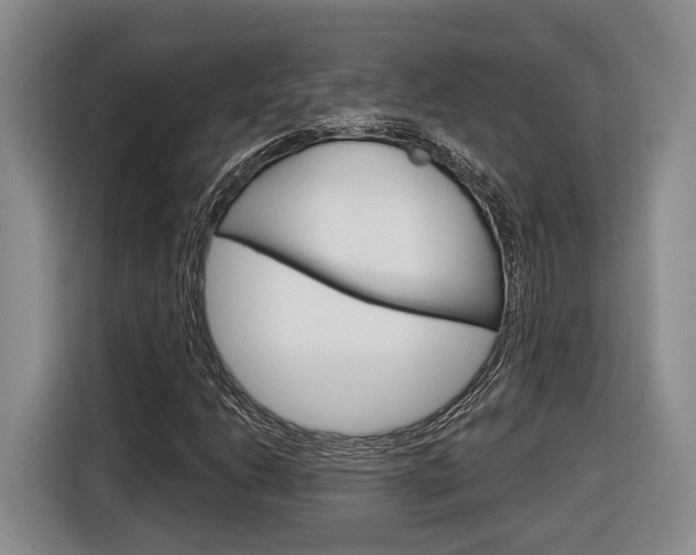 X0000116891206200912220957