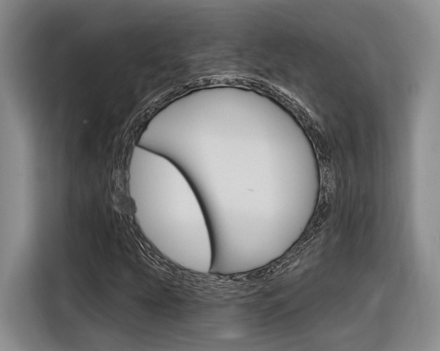 X0000116891207200912220957