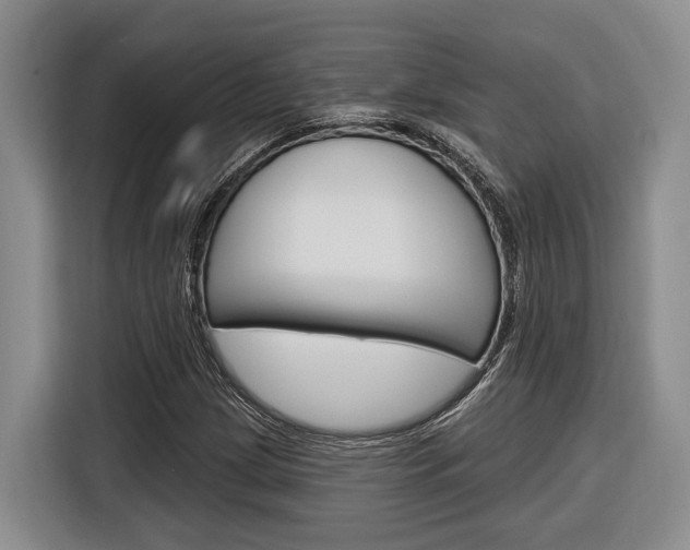 X0000116891209200912220957