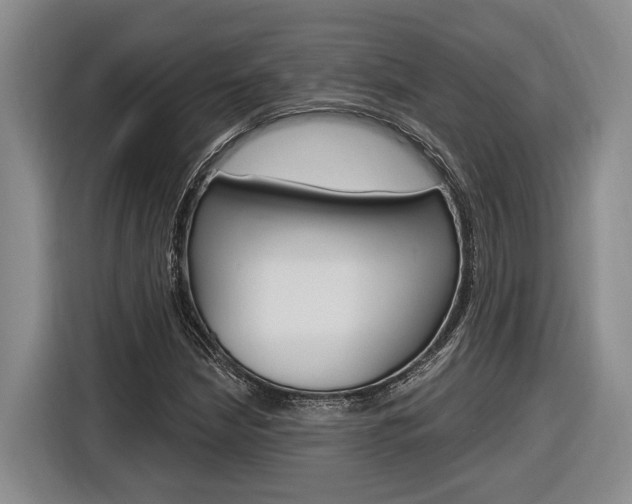 X0000116891210200912220957