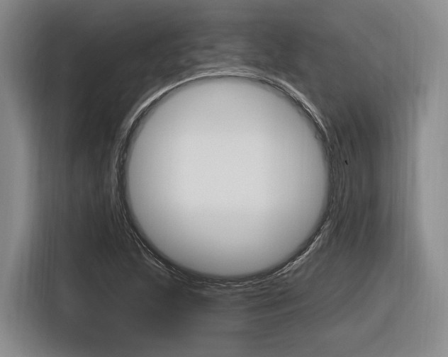 X0000116891215200912220957