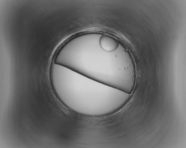 X0000116891216200912220957