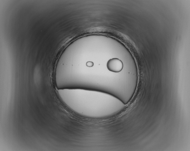 X0000116891217200912220957