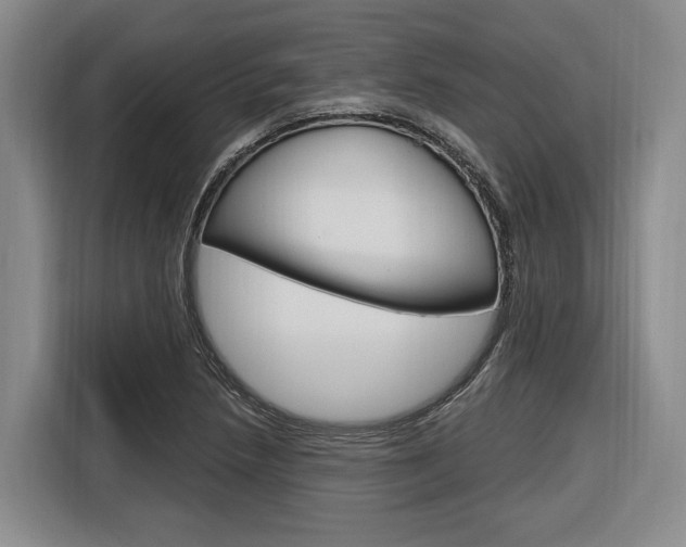 X0000116891218200912220957
