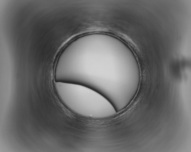 X0000116891220200912220958