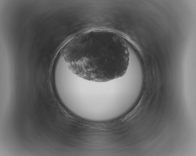 X0000116891221200912220958