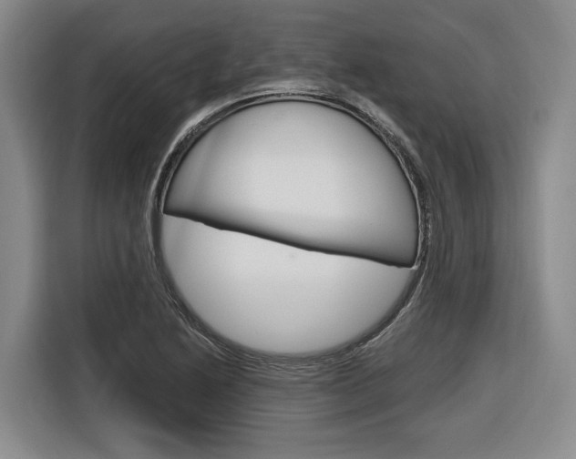 X0000116891222200912220958
