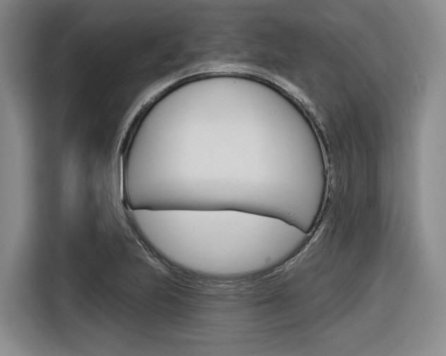 X0000116891223200912220958
