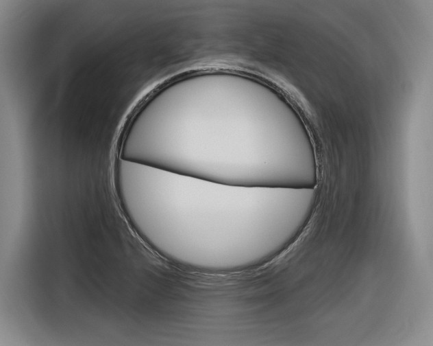 X0000116891224200912220958