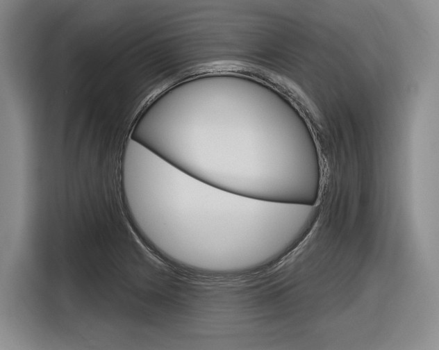X0000116891225200912220958