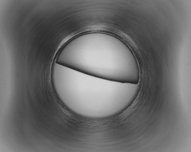 X0000116891226200912220958