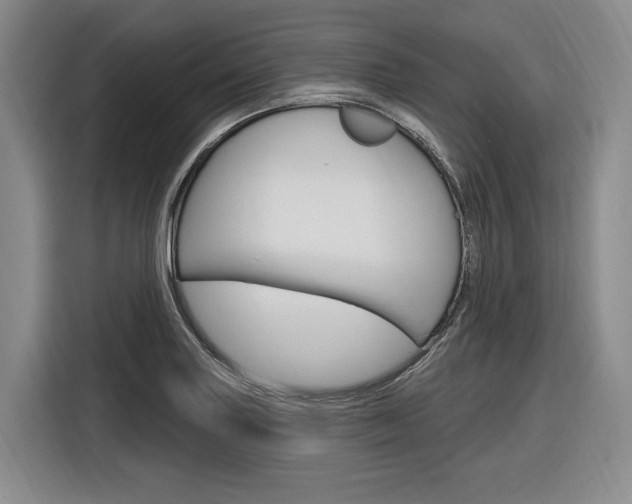X0000116891227200912220958