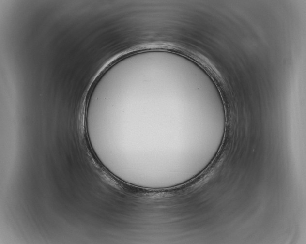 X0000116891228200912220958