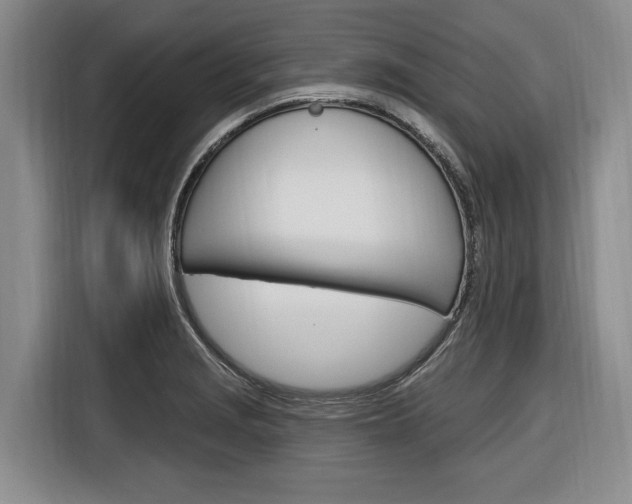 X0000116891229200912220958