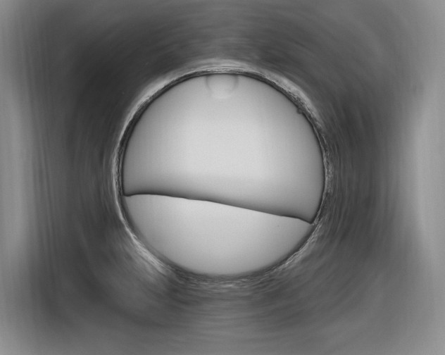 X0000116891231200912220958