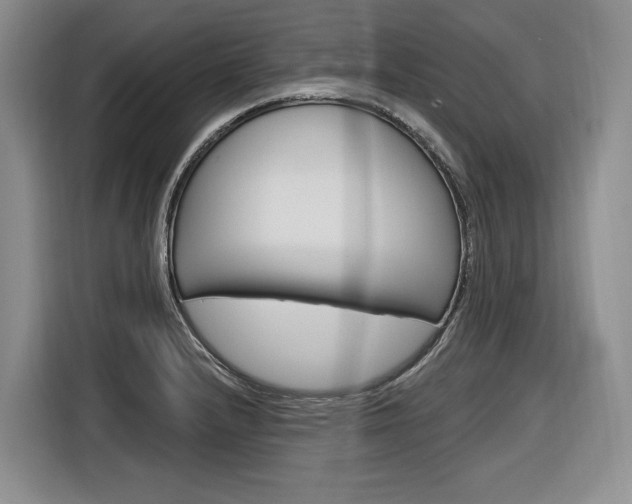 X0000116891232200912220958