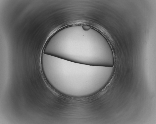 X0000116891234200912220958