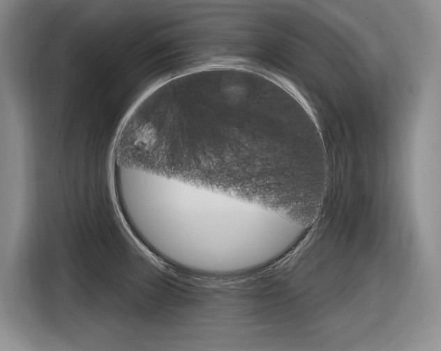 X0000116891235200912220958