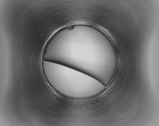 X0000116891236200912220958