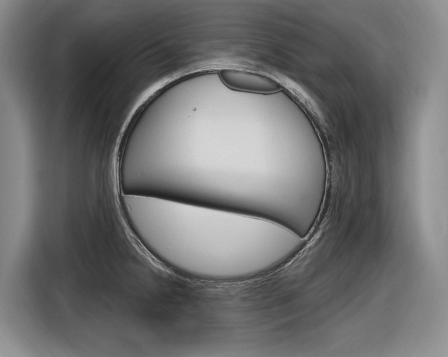 X0000116891238200912220958