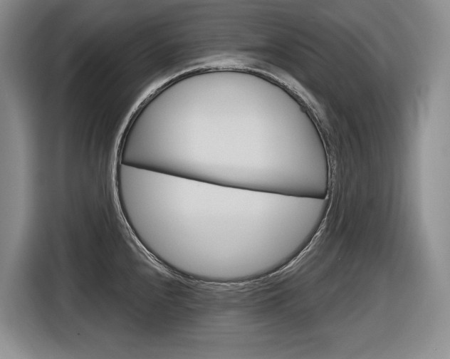 X0000116891240200912220958