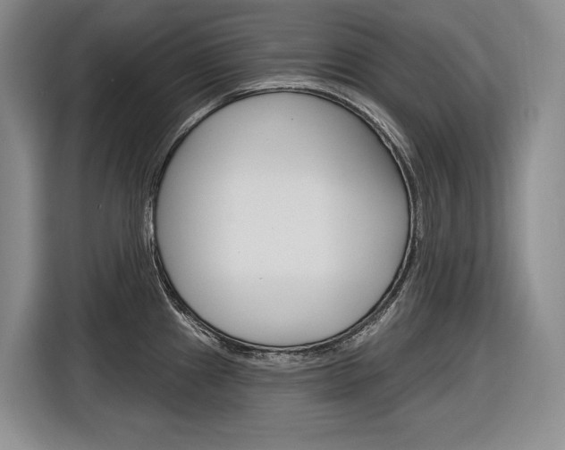 X0000116891241200912220958