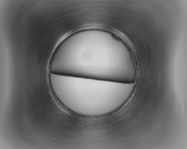 X0000116891242200912220958