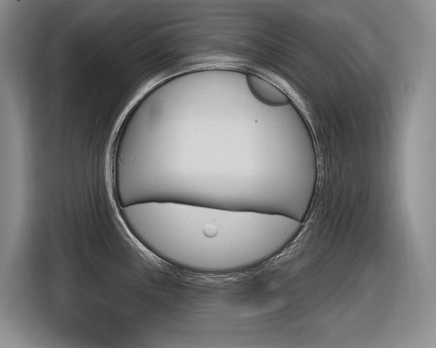X0000116891243200912220958