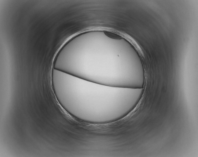 X0000116891244200912220958