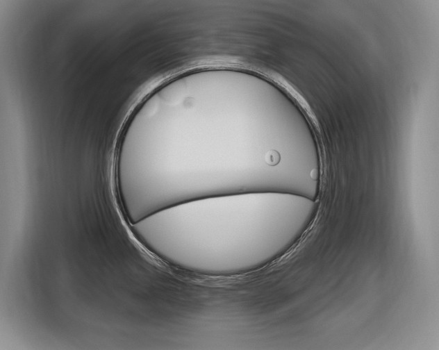 X0000116891245200912220958