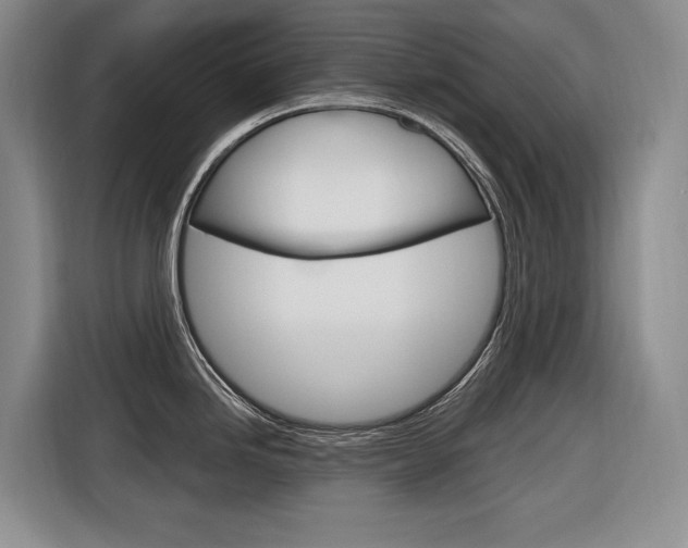 X0000116891246200912220958