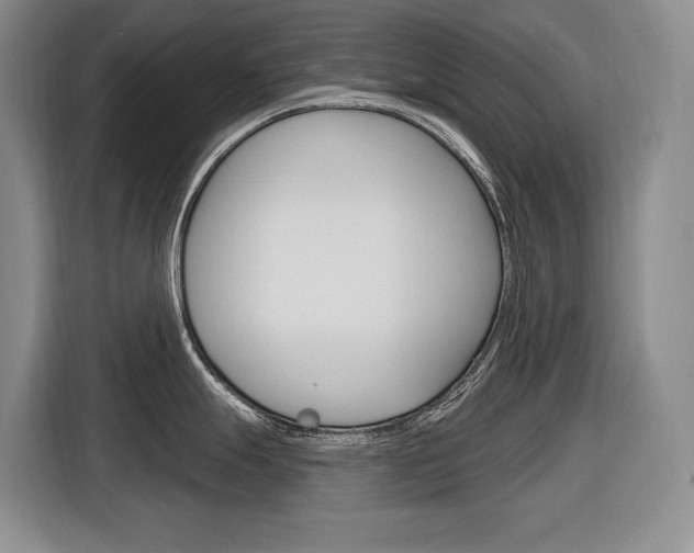 X0000116891247200912220958