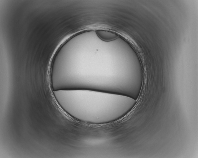 X0000116891248200912220958