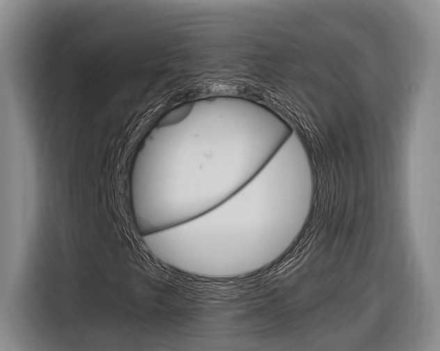 X0000116891249200912220957