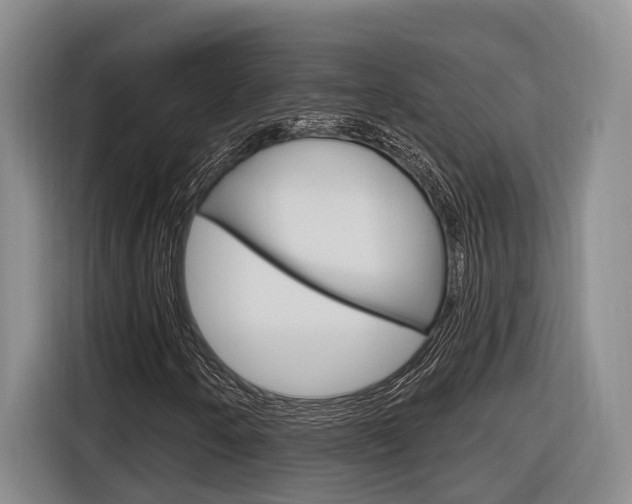 X0000116891250200912220957