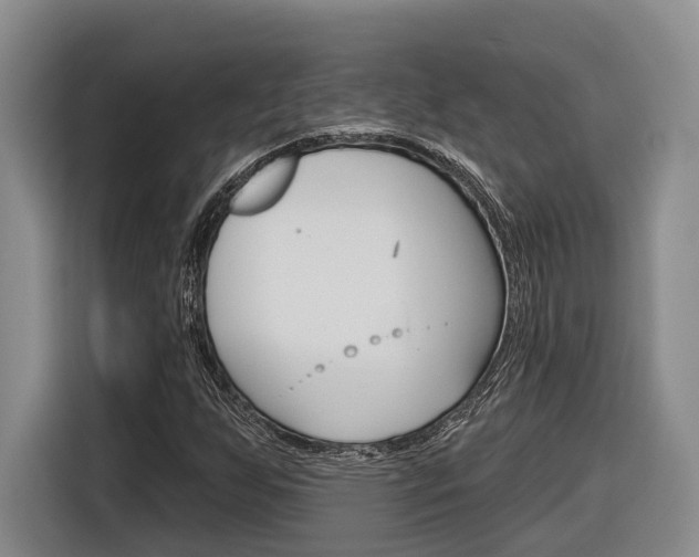 X0000116891255200912220957